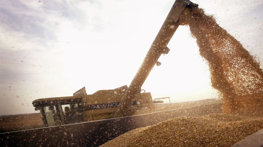 ROCKTON, IL - OCTOBER 9:  John Shedd, 85, loads a container with Bt-corn harvested from his son's farm October 9, 2003 near Rockton, Illinois. Shedd and his son farm 800 acres of the corn on farms in Illinois and Wisconsin. Bt-corn is a GMO (genetically modified organism) crop that offers growers an alternative to spraying an insecticide for control of European and southwestern corn borer. The Shedds sell the corn for use in ethanol.  (Photo by Scott Olson/Getty Images) 