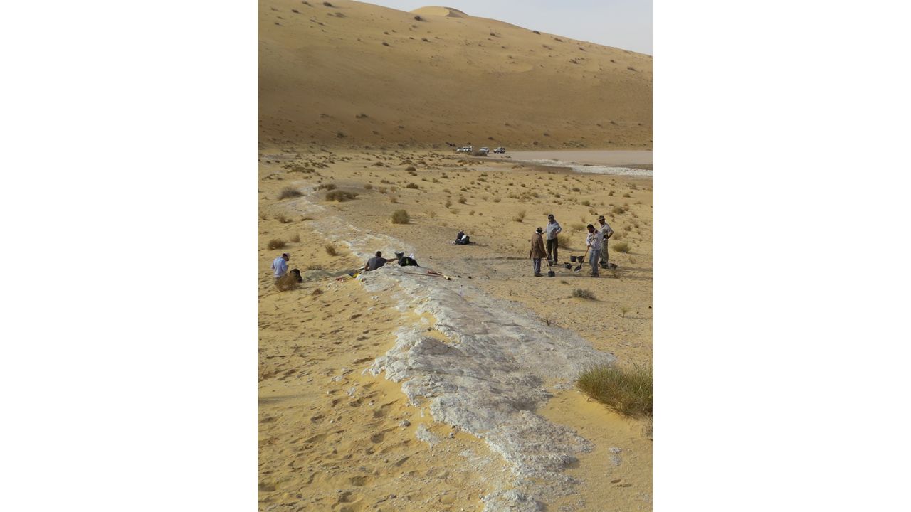 The ancient lake bed (in white) at the Al Wusta site is surrounded by sand dunes of the Nefud Desert. 