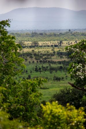 The landscape in Mikumi National Park, Tanzania.