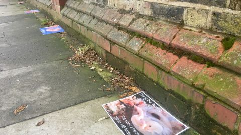 Printouts of various stages of a fetus' gestation line the path to the clinic.