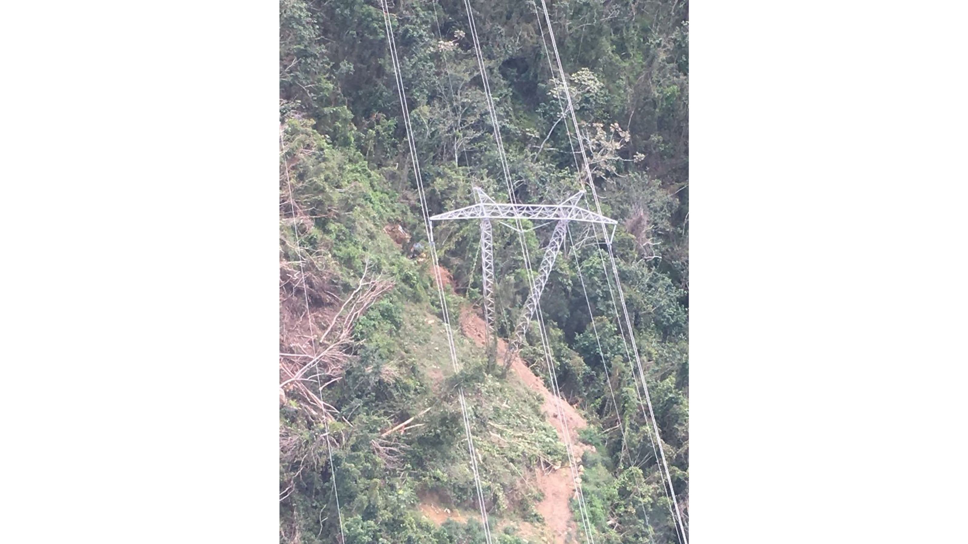 Puerto Rico's Electric Power Authority tweeted an image it says was of the tree that fell across a power line near the southeast mountain town of Cayey. 