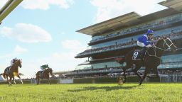 Winx secures 33rd consecutive victory in final race | CNN