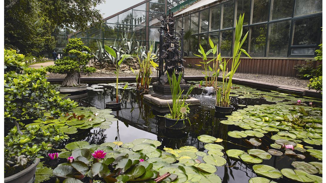 Greenhouses can also add character to gardens. Pictured here: Aptekarsky Ogorod, Moscow, Russia.