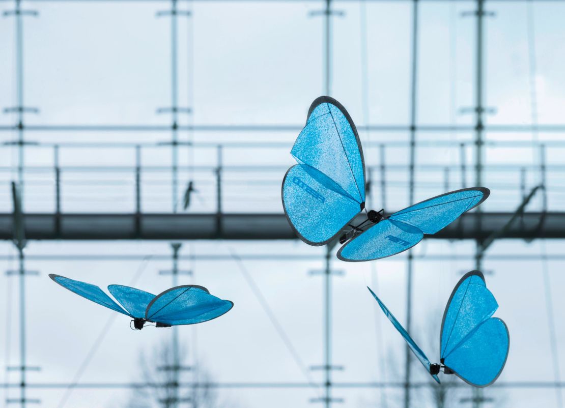 The eMotionButterflies from 2015.