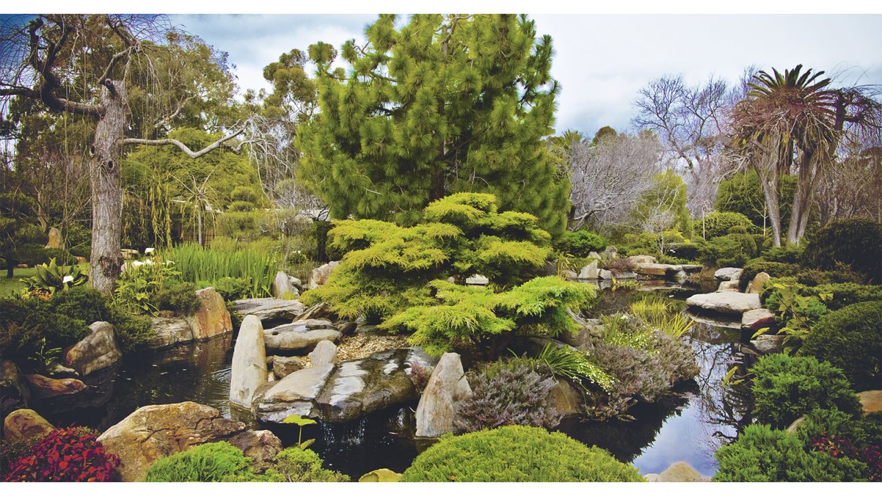 "Green Escapes" showcases urban gardens around the world. Pictured here: Himeji Garden, Adelaide, Australia.