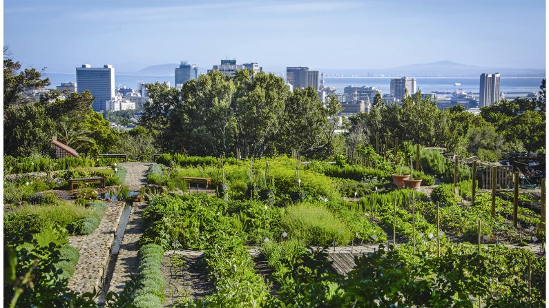 <strong>Oranjezicht City Farm, Cape Town, South Africa</strong><strong>:</strong> Searching for a secret garden is half the fun. "I think for me one of the charming aspects of these gardens is they're secreted away," says Musgrave.