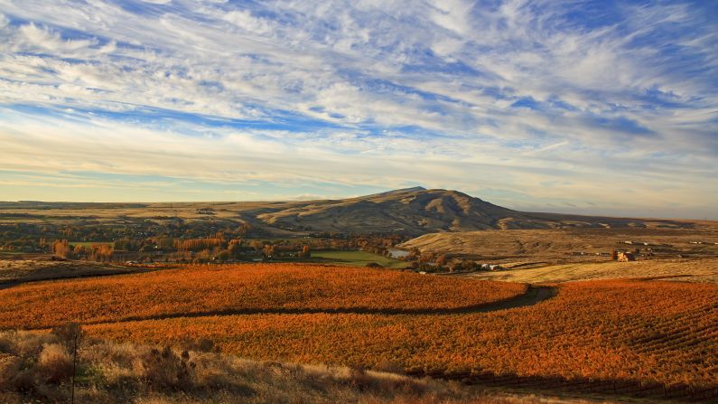 <strong>Stunning landscapes: </strong>Frichette Winery specializes in soft, Bordeaux style wines. The tasting room is open daily from 12 p.m. to 5 p.m.