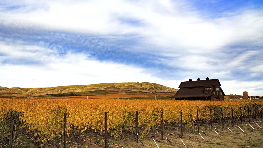 <strong>Growing region:</strong> Washington's 60,000 acres of vineyard land have the potential to expand to 200,000 acres of premium wine grapes within the next two decades, according to one industry leader.