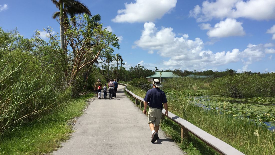 <strong>Anhinga Trail: </strong>This self-guided quick jaunt through sawgrass marsh is home to an abundance of wildlife. 