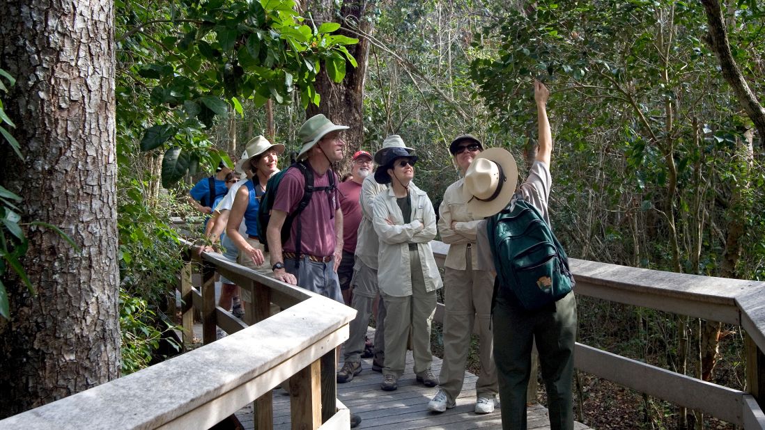 <strong>Trails: </strong>The abundance of trails at Everglades National Parks provides visitors the chance to hike, bike or paddle around to explore the different habitats of the Everglades. 