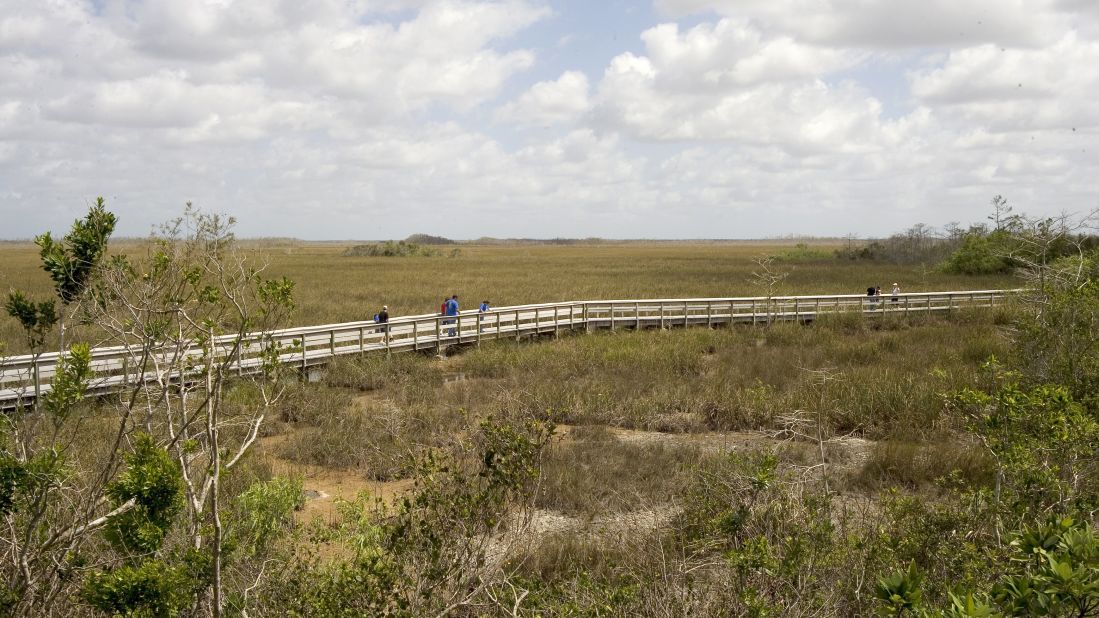 <strong>Changing landscapes:</strong> Visitors in the coming months will have the chance to see the Everglades grow and thrive as the landscape changes and adapts to the damage from the 2017 hurricane season.