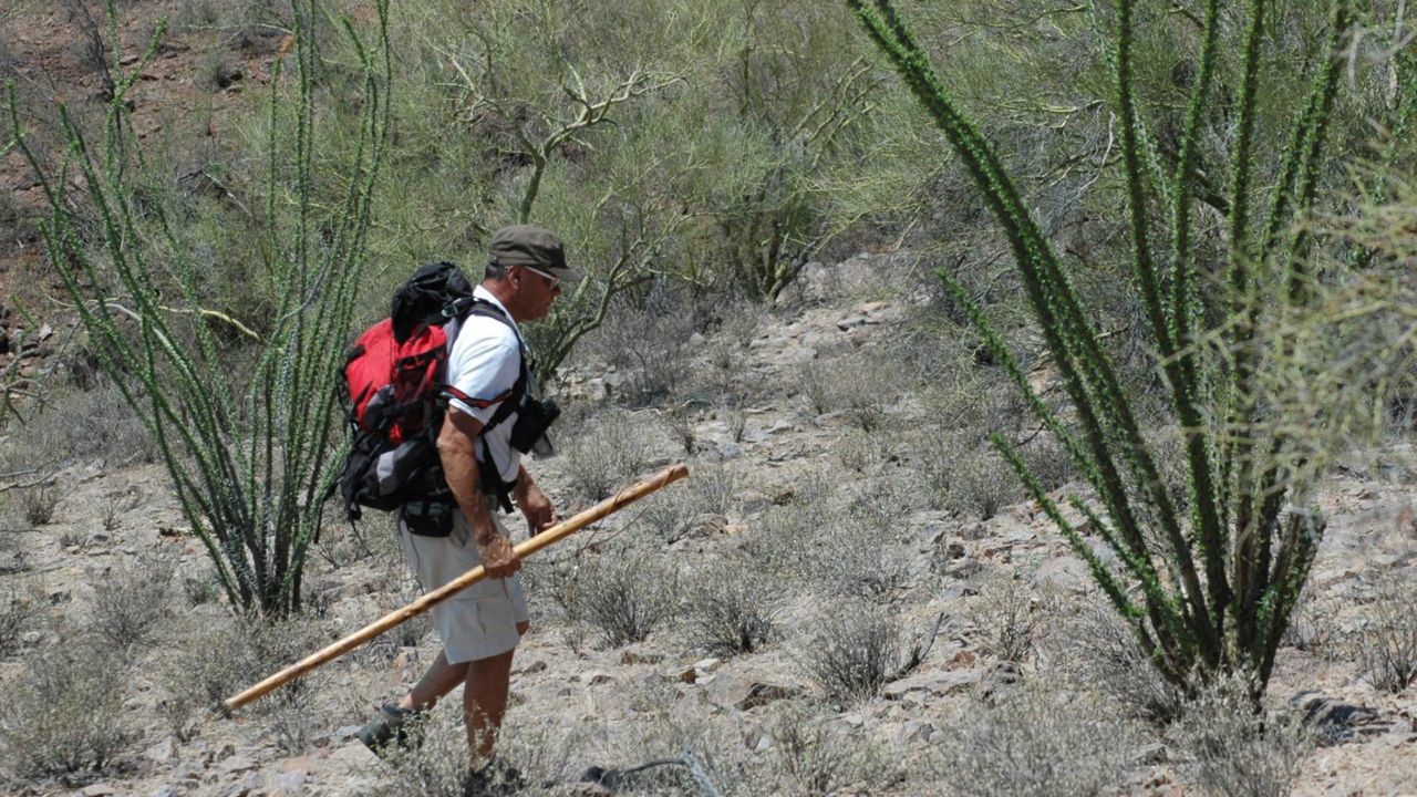 Rafael Larraenza Hernandez of the Desert Angels searching for remains in the Sonoran Desert near Ajo, Arizona.