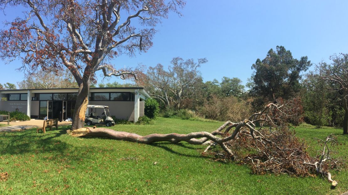 DeSoto lost some trees but escaped major damage. 