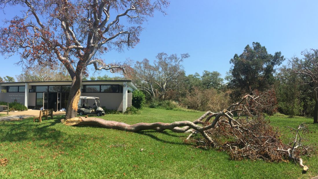 <strong>De Soto National Memorial, Florida:</strong> Both Hurricane Irma and its spin-off, Tropical Storm Emily, caused closures due to downed limbs and trees. 