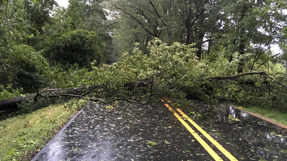 Ocmulgee National Monument mostly saw downed and damaged trees. 