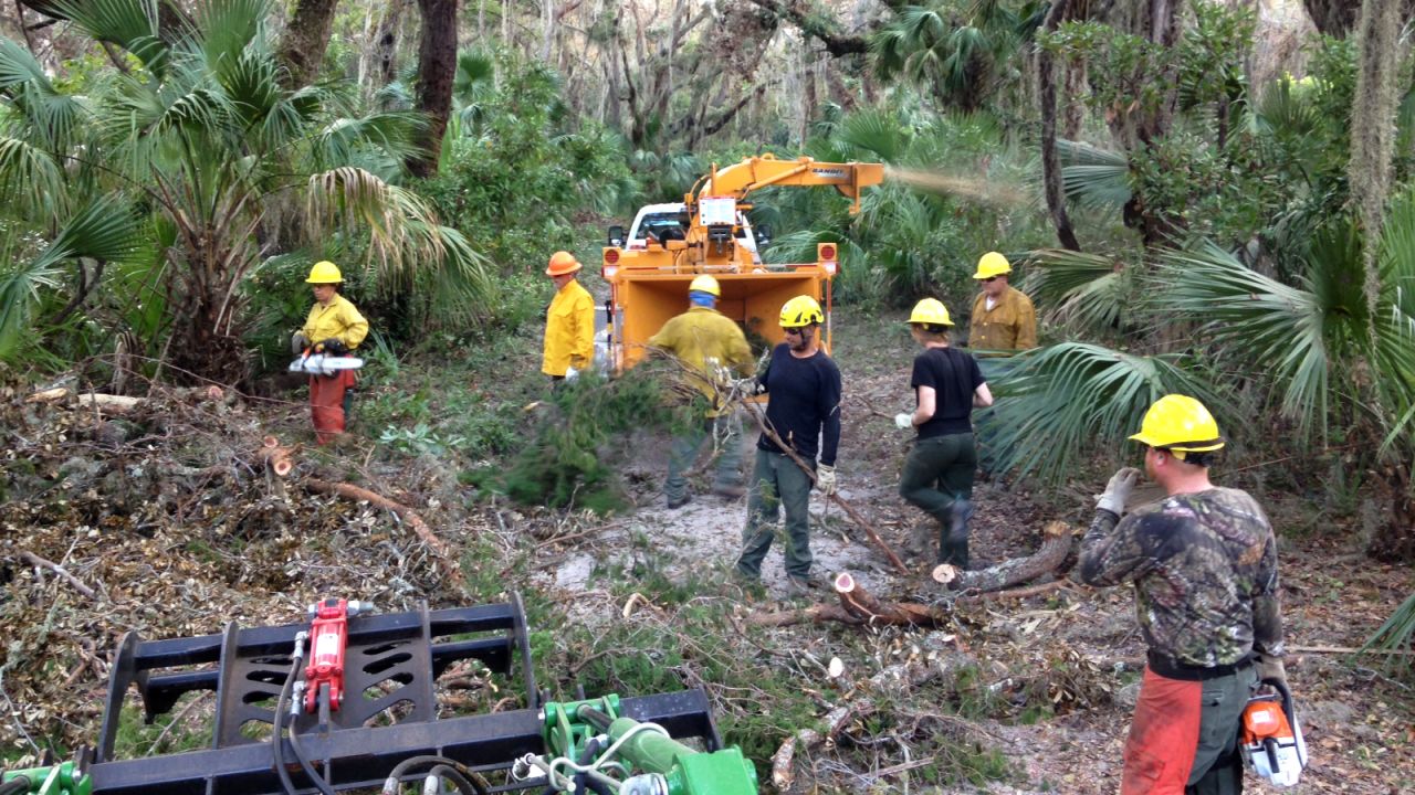 Park officials and volunteers cleared downed trees and debris on Cumberland Island.