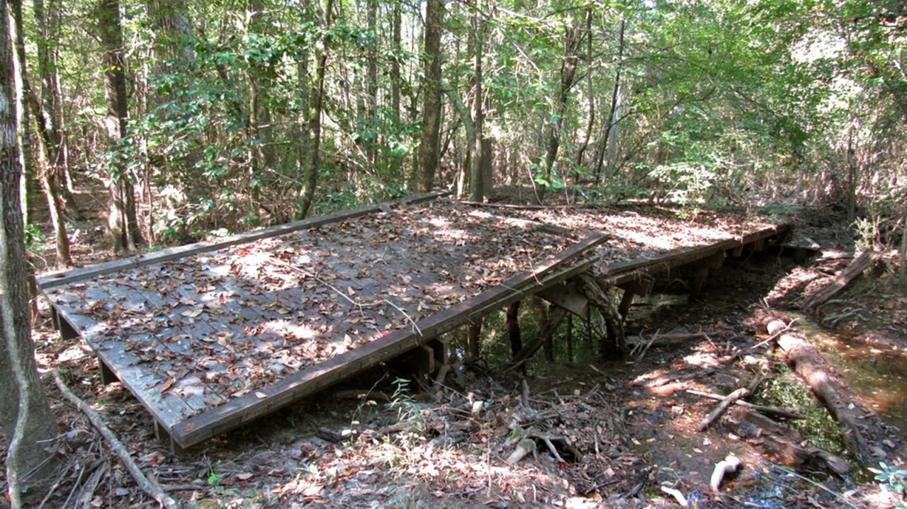 <strong>Big Thicket National Preserve, Texas:</strong> Record flooding caused by Hurricane Harvey destroyed the Turkey Creek Trail Boardwalk and damaged other boardwalks and bridges.