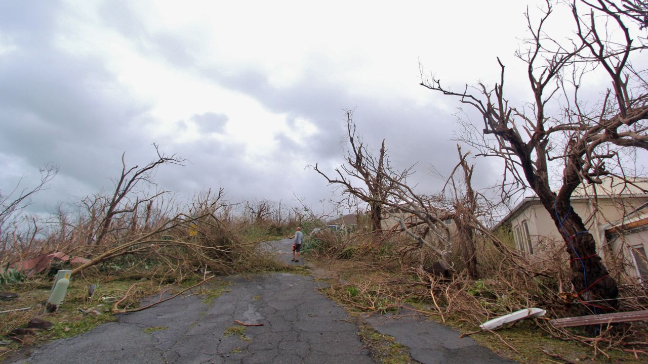 <strong>Virgin Islands National Park, St. John, US Virgin Islands:</strong> Both Hurricane Irma and Hurricane Maria tore through the islands, causing damage to the park on St. John (shown here) and two park sites on St. Croix (Christiansted National Historic Site and Salt River Bay National Historical Park and Ecological Preserve).