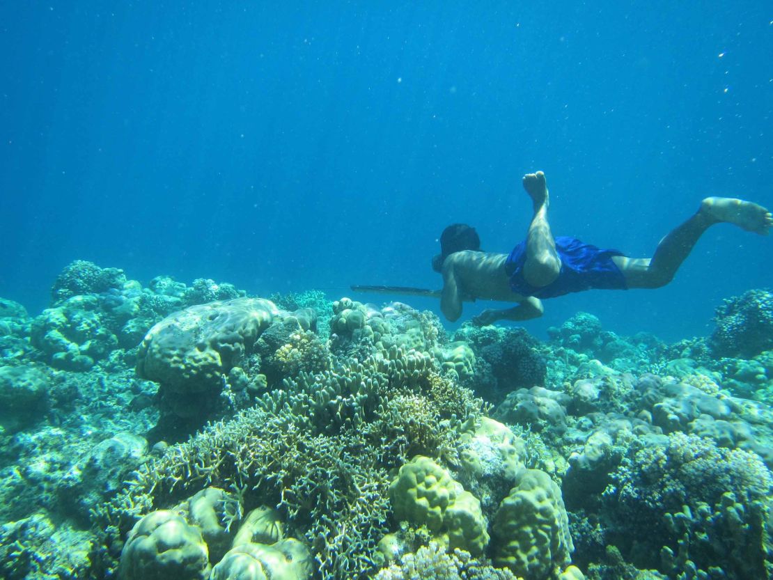 A Bajau diver uses a spear to hunt fish.