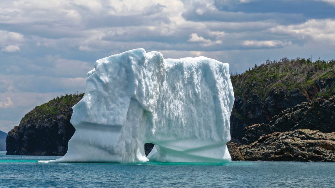 Massive icebergs float in the waters along the shoreline of Newfoundland.