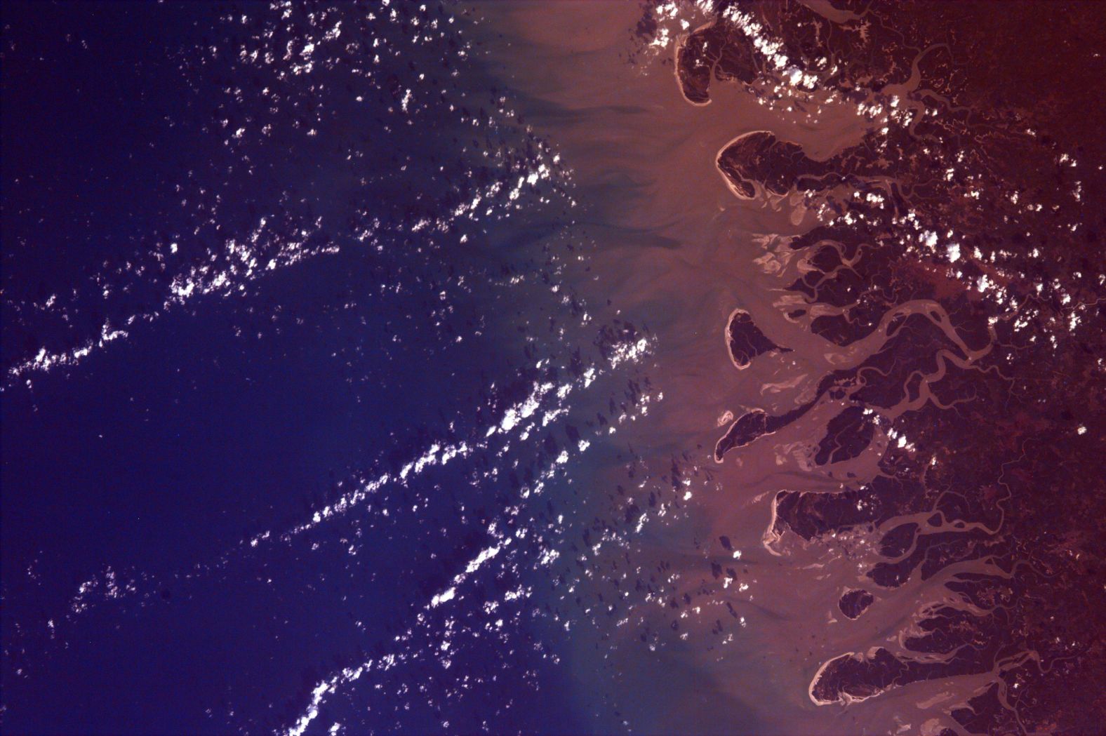 <strong>Rio Gurupi, Brazil:</strong> This EarthKAM image of Rio Gurupi in Brazil has an abstract appearance from space. Part of the Gurupi Biological Reserve, the river flows into an open sea delta, where a dynamic ecosystem includes dozens of islets, mangrove forests, dunes, lagoons and beaches.