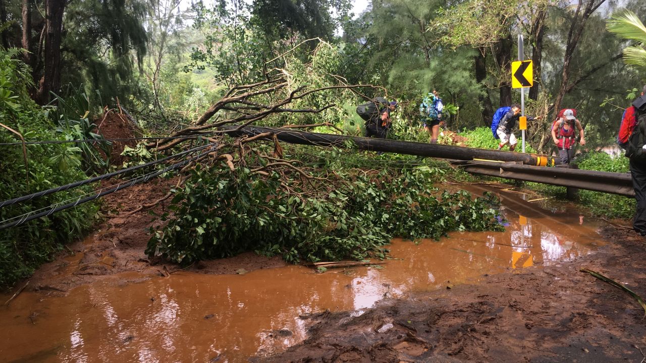 Trees and power lines littered the roadways.
