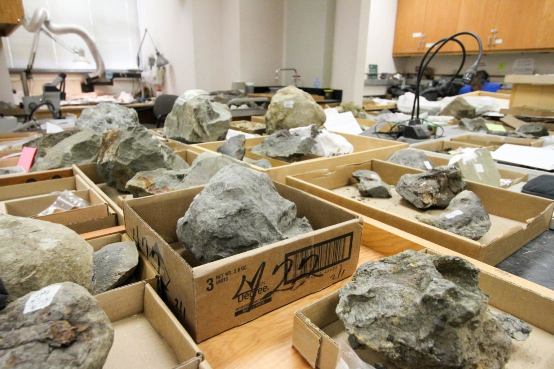 The number of fossils is so large that the entire lab space is used to store them.