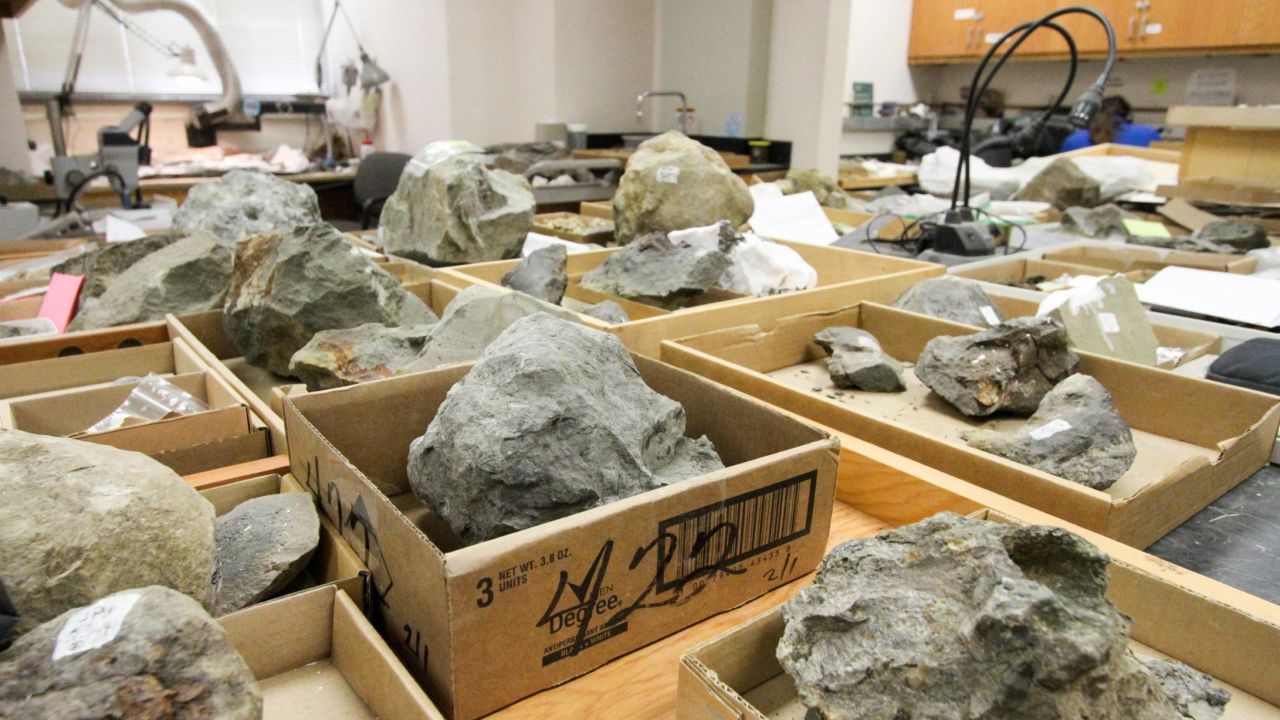 The number of fossils is so large that the entire lab space is used to store them.