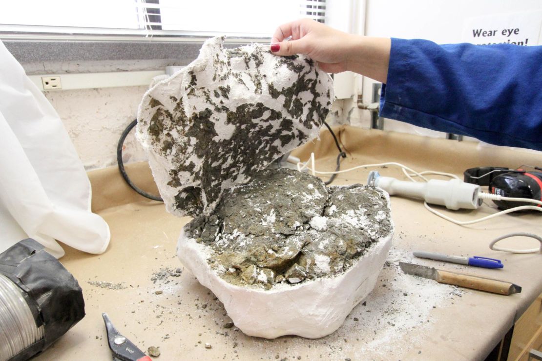 A plaster jacket is opened, revealing the stone beneath it.