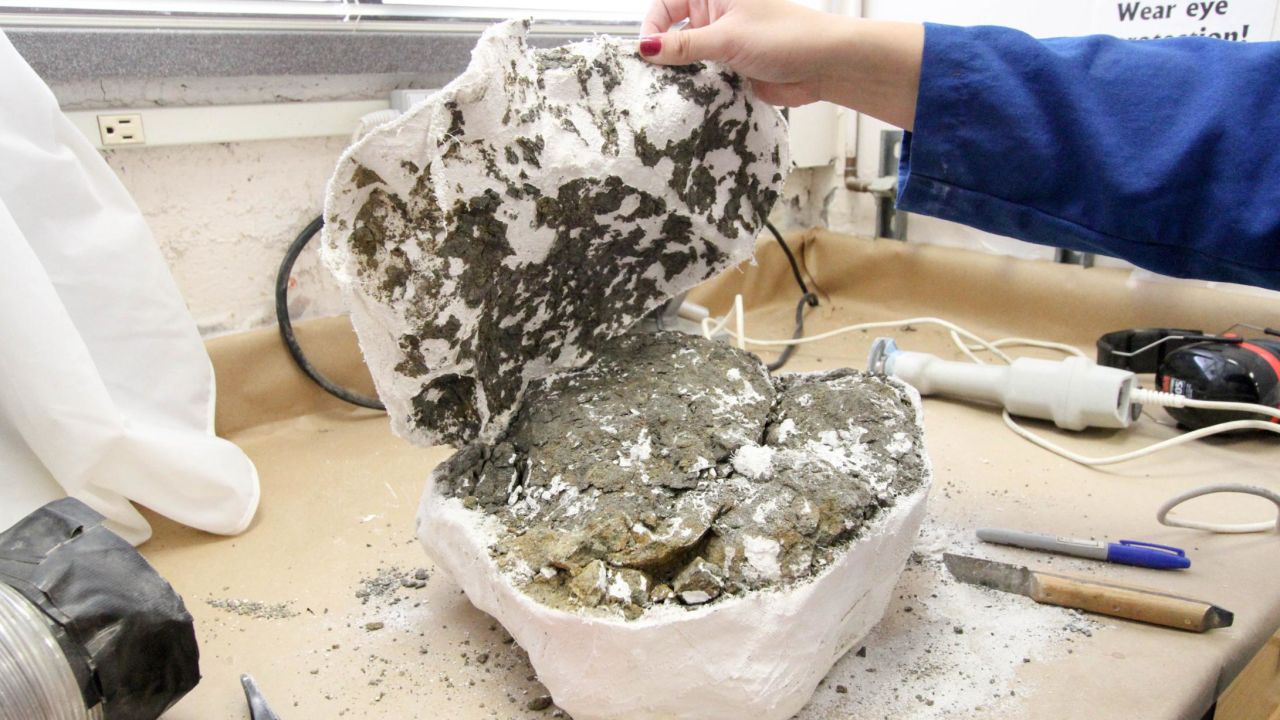 A plaster jacket is opened, revealing the stone beneath it.