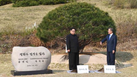 Leaders of North and South Korea participate in a tree-planting ceremony next to the Military Demarcation Line that forms the border between the two Koreas.