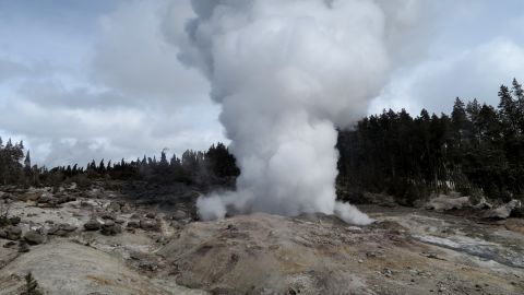 Behnaz Hosseini took this photo of the Steamboat Geyser during the steam phase after the March 16 eruption. 