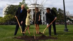 US President Donald Trump and French President Emmanuel Macron plant a tree watched by Trump's wfe Melania and Macron's wife Brigitte on the grounds of the White House April 23, 2018 in Washington,DC. - The tree, a gift from French President Macron, comes from Belleau Woods, near the Marne River in France, where in June 1918 US forces suffered 9,777 casualties, including 1,811 killed in the Belleau Wood battle during World War I. (Photo by JIM WATSON / AFP)        (Photo credit should read JIM WATSON/AFP/Getty Images)