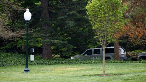 This photo, taken Saturday, shows an empty area where the tree was planted last week. The young tree was planted in the area between the light on the left and the tree on the right.
