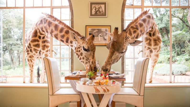 <strong>H is for Hotels:</strong> Snuggle with giraffes, sleep on ice, or snooze like royalty at a luxury hotel. Read more: <a href="index.php?page=&url=https%3A%2F%2Fwww.cnn.com%2Ftravel%2Farticle%2Fmost-exclusive-hotels-world%2Findex.html">The world's most exclusive hotels</a>