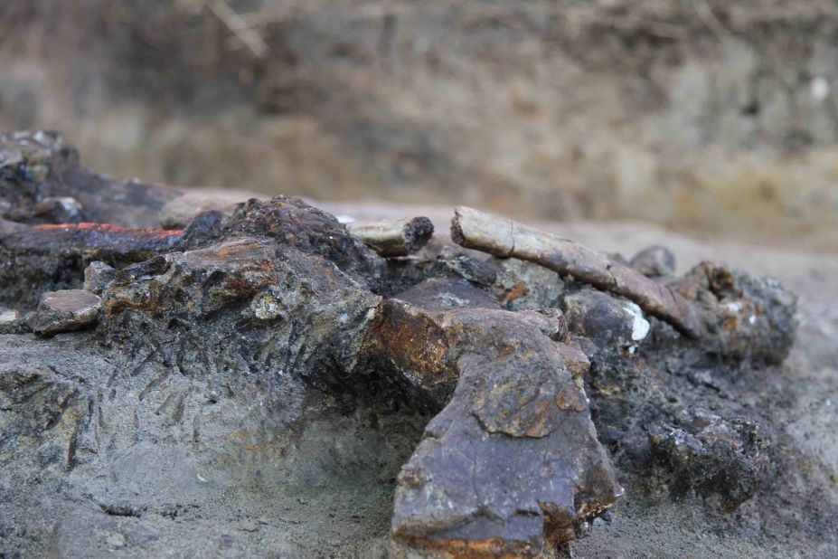 The remains of a butchered rhinoceros are helping researchers to date when early humans reached the Philippines. They found a 75% complete skeleton of a rhinoceros that was clearly butchered, with 13 of its bones displaying cut marks and areas where bone was struck to release marrow, at the Kalinga archaeological site on the island of Luzon.