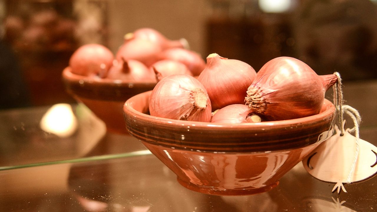 <strong>Raska Cbula onions: </strong>Melania Trump's grandfather was a farmer who cultivated an endemic type of red onion, the Raska C'bula, known locally as "the bacon of the poor," because people eat it raw with bread.<strong> </strong>