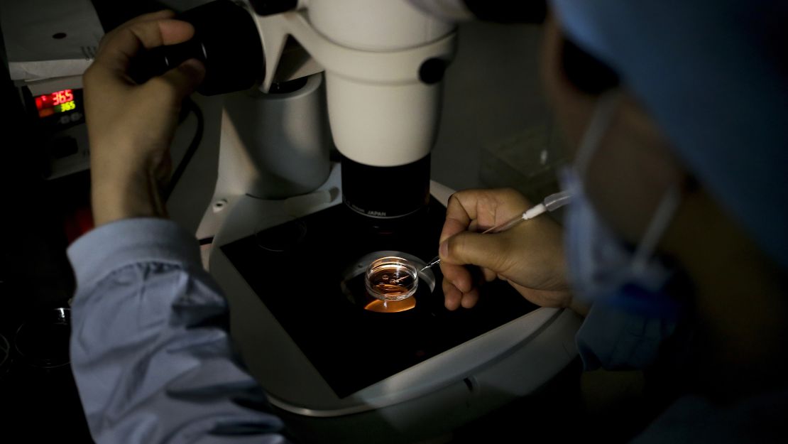 A medical staff member collects an egg on a laboratory dish during an infertility treatment through in vitro fertilization for a patient at a hospital in Beijing.