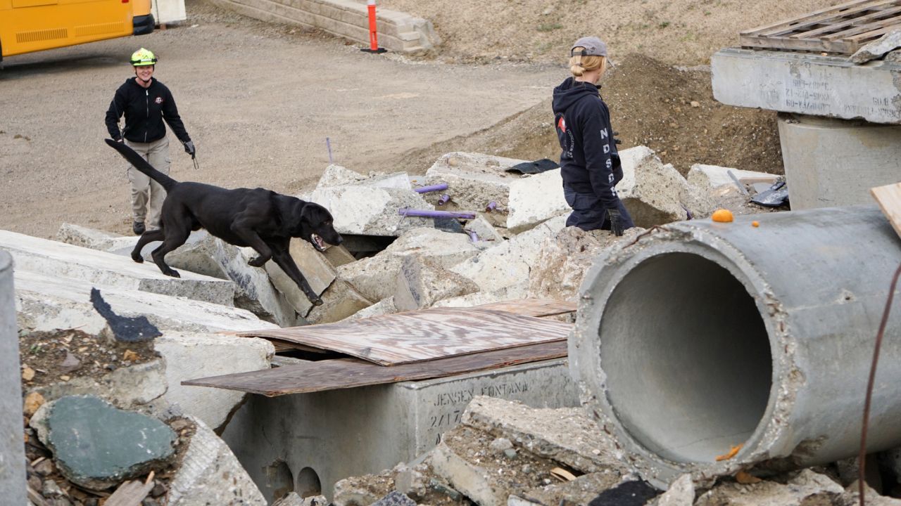 A search dog trains on the rubble at the Search Dog Foundation's training center.