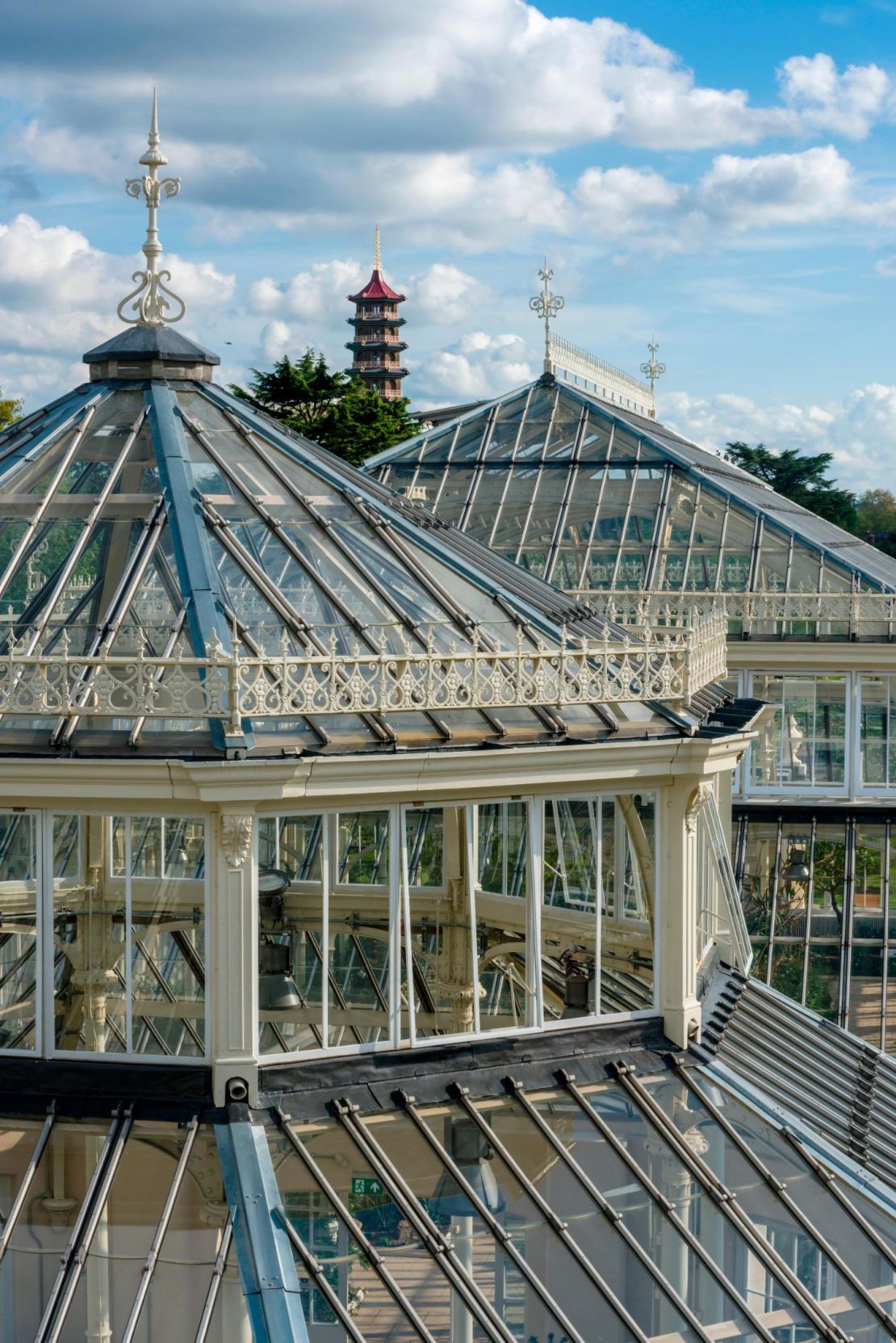 kew gardens temperate house 3