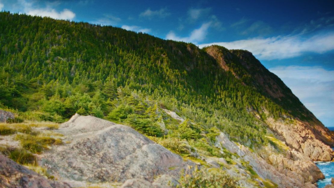 Canadian travel writer Jen Allford says Newfoundland is "so hot right now."