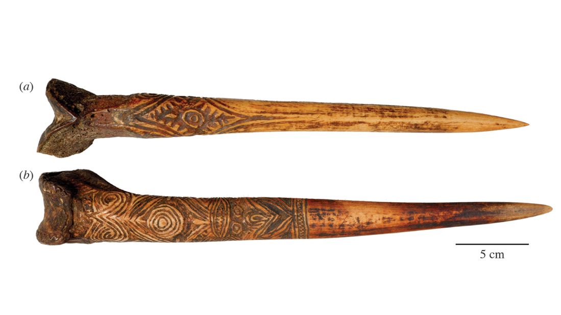 At one time, warriors in New Guinea used bone daggers in battle. While some daggers were made using the thigh bone of a large flightless bird called a cassowary (b) others were made from a human thigh bone (a).