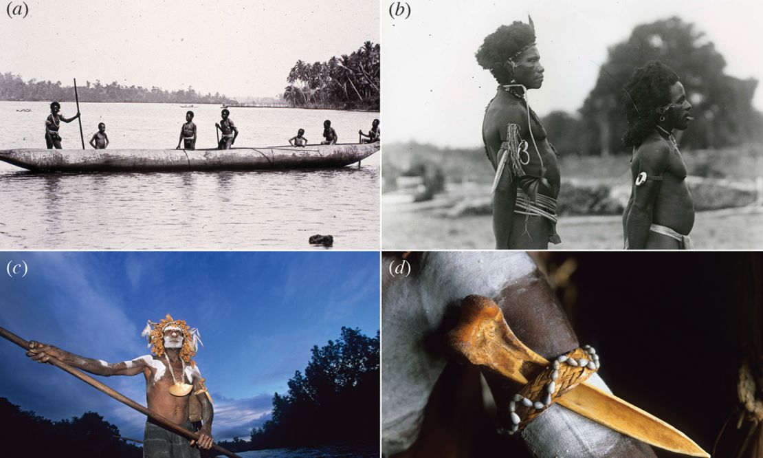 Anthropologist Albert Buell Lewis took photos a and b when visiting northern New Guinea in September 1909. Photos c and d show a cassowary bone dagger attached to the arm of an Asmat man.