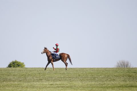 The 1,000 Guineas is the fillies-only equivalent, raced the following day over the same Rowley Mile course at Newmarket in Suffolk, England. Billesdon Brook, trained by Richard Hannon, became the highest-priced winner in the race's history when she won at 66-1 in 2018.