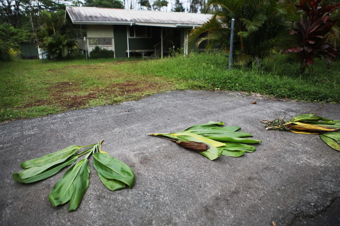 Ti leaves are left in front of a home located near a lava flow in the Leilani Estates neighborhood on Monday. The leaves are an offering to Pele, the Hawaiian volcano goddess.