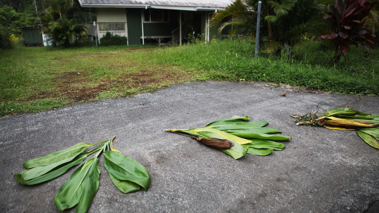 Ti leaves are left in front of a home located near a lava flow in the Leilani Estates neighborhood on Monday. The leaves are an offering to Pele, the Hawaiian volcano goddess.