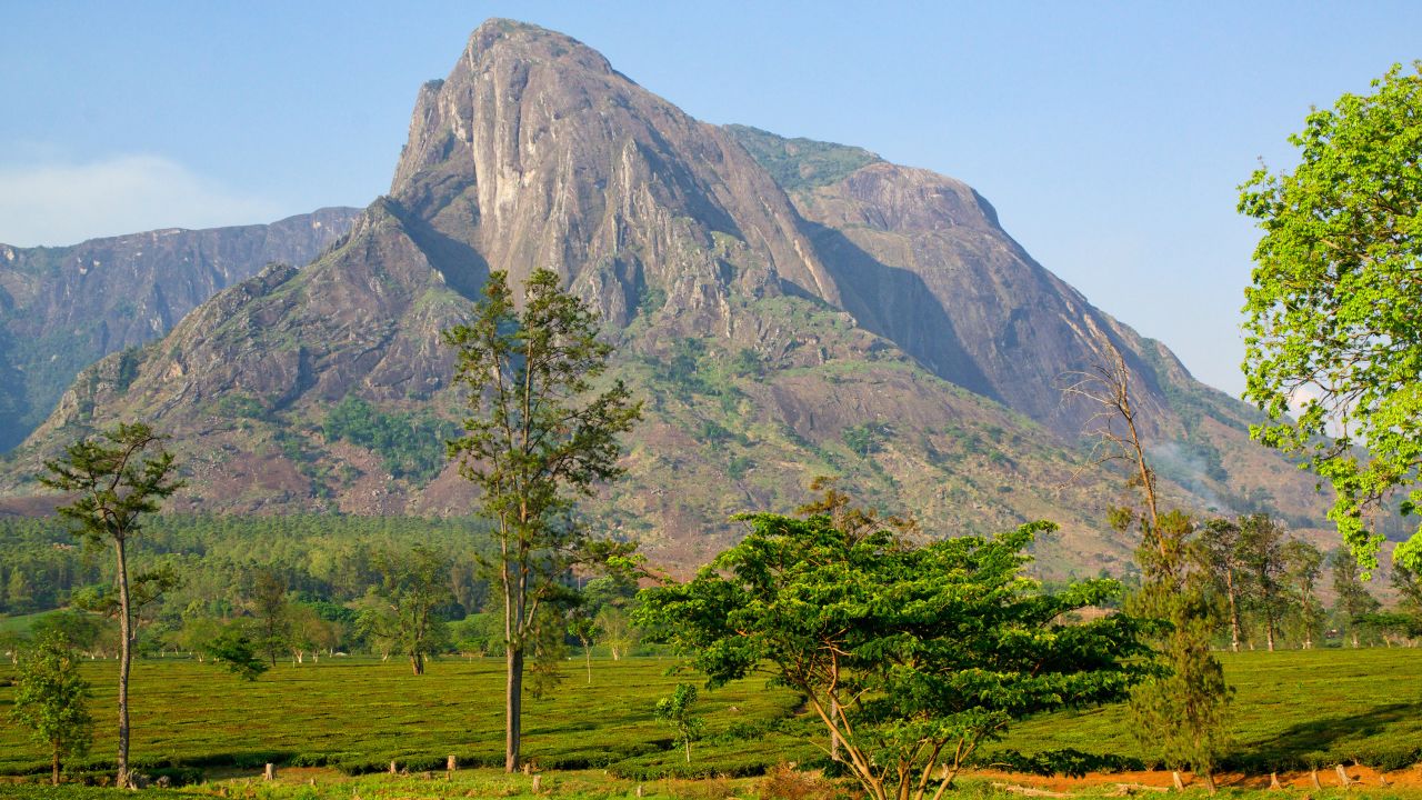 A strenuous trek up Mount Mulanje leads to magnificent views.