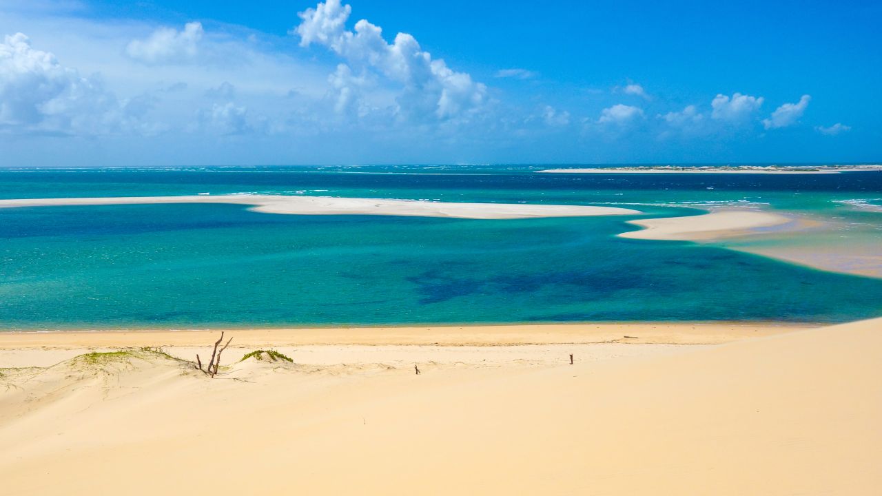 <strong>Bazaruto Archipelago, Mozambique:</strong> You might spot dolphins, dugongs and whales in the Indian Ocean. 