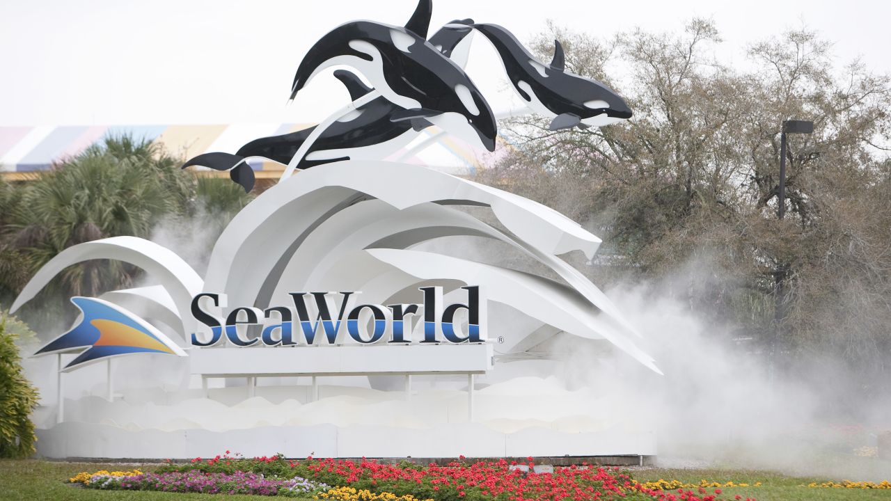 ORLANDO -  FEBRUARY 24:  The sign at the entrance to SeaWorld February 24, 2010 in Orlando, Florida. A female trainer who presumably slipped and fell in to a holding tank was fatally injured after she was attacked by an orca.  This is the third human death associated with the killer whale according to the Humane Society of the United States. (Photo by Matt Stroshane/Getty Images)