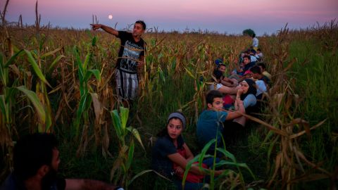Yusra Mardini hungarian cornfield